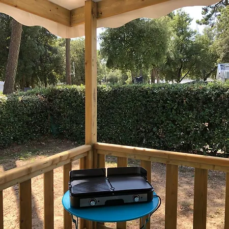 Campsite Le Domaine Des Pins