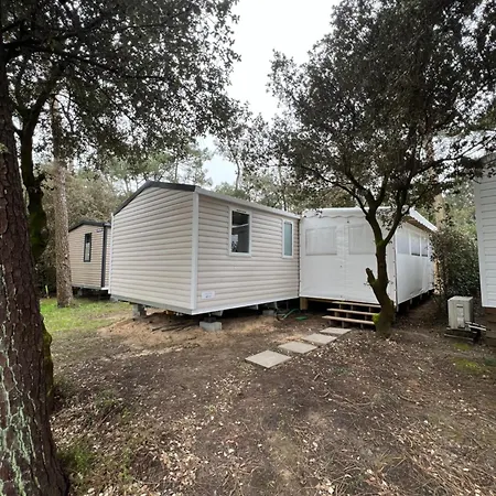Le Domaine Des Pins Campsite