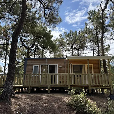 Le Domaine Des Pins Saint-Hilaire-de-Riez