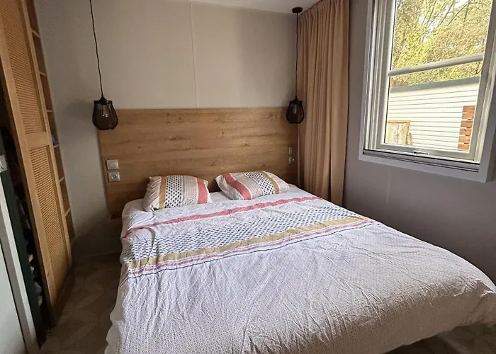 Kamp alanı Le Domaine Des Pins 4*