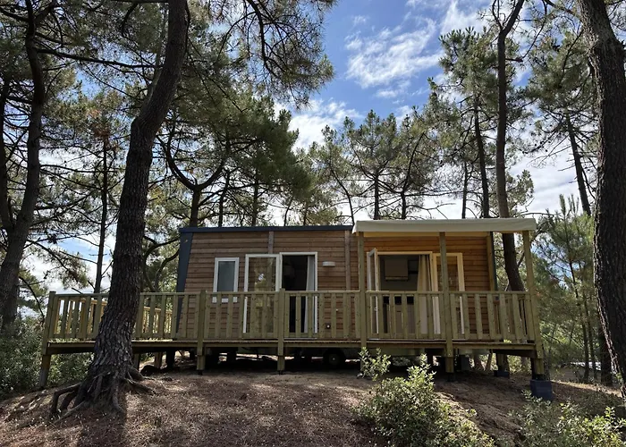 Le Domaine Des Pins Saint-Hilaire-de-Riez